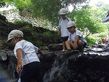 img_20130823-201452.jpg