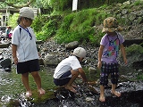 img_20130823-201506.jpg