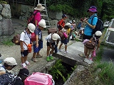 img_20130823-201909.jpg