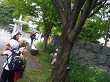 img_20130823-201951.jpg