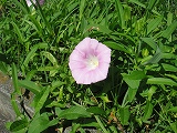 img_20130827-185116.jpg