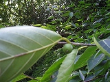 img_20130827-185124.jpg