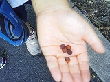 img_20130827-185146.jpg