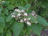 img_20130827-185203.jpg