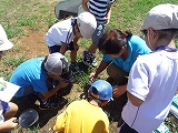 img_20130827-185212.jpg
