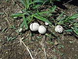 img_20130827-185222.jpg