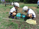 img_20130827-185359.jpg
