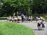 img_20130827-185553.jpg