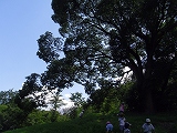 img_20130827-185653.jpg