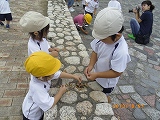 img_20131007-192149.jpg