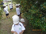 img_20131007-192158.jpg