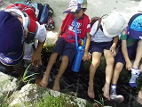img_20140724-195230.jpg