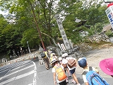 img_20140724-195408.jpg