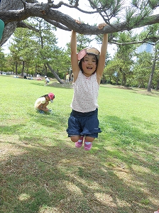 img_20140727-113535.jpg