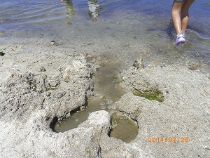 img_20140728-190724.jpg