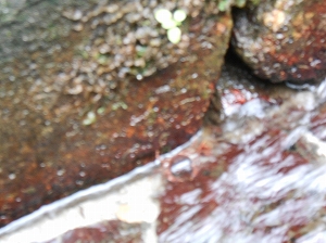 img_20140731-200515.jpg