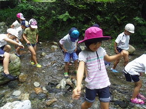 img_20140731-202721.jpg