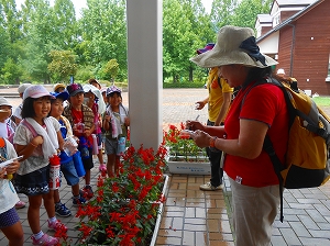 img_20140807-192415.jpg