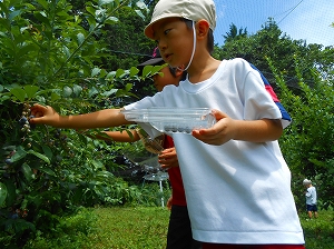img_20140807-192433.jpg