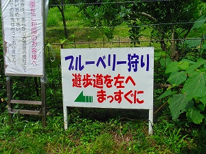 img_20140807-192740.jpg