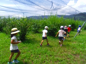 img_20140807-192755.jpg