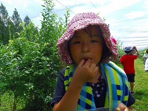 img_20140807-192843.jpg