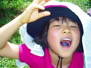 img_20140807-192852.jpg