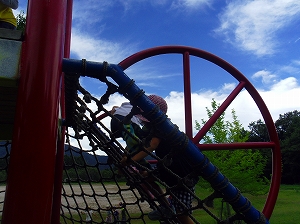 img_20140807-193014.jpg