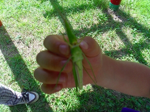 img_20140807-193023.jpg