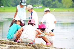 img_20140813-151449.jpg