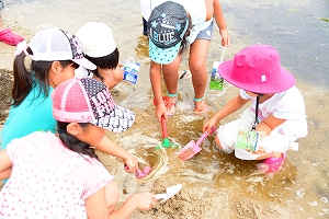img_20140813-151517.jpg