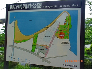 img_20140813-180115.jpg