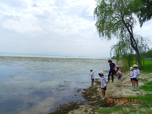 img_20140813-180126.jpg