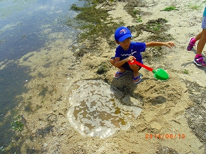 img_20140813-180149.jpg