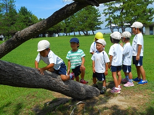 img_20140818-194311.jpg