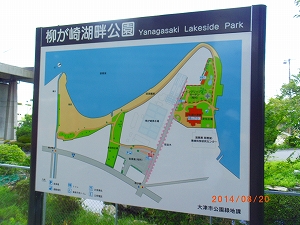 img_20140821-174104.jpg