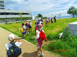 img_20140821-174115.jpg