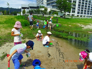img_20140821-174126.jpg