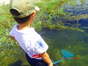 img_20140821-174140.jpg