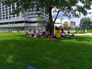 img_20140821-174213.jpg