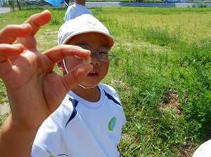 img_20140821-183224.jpg