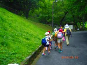 img_20140825-183120.jpg