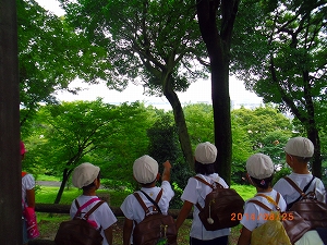 img_20140825-183203.jpg
