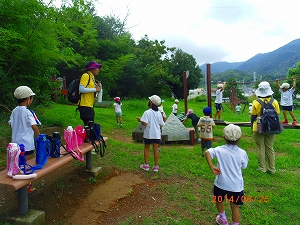 img_20140825-183217.jpg