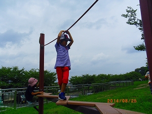 img_20140825-183246.jpg