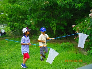 img_20140825-183255.jpg