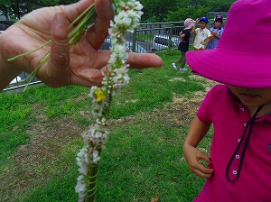 img_20140825-183319.jpg