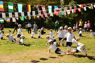 img_20141103-160945.jpg