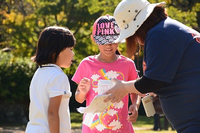 img_20141103-162423.jpg