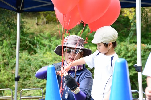 img_20151101-153021.jpg